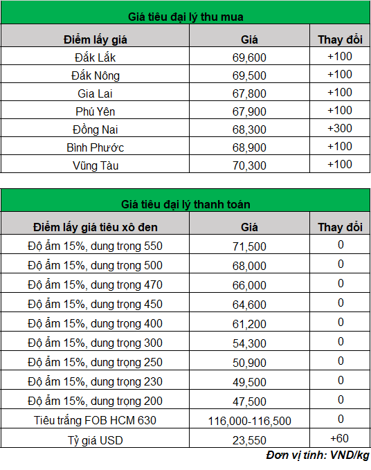 gia tieu 1_1688703289.png